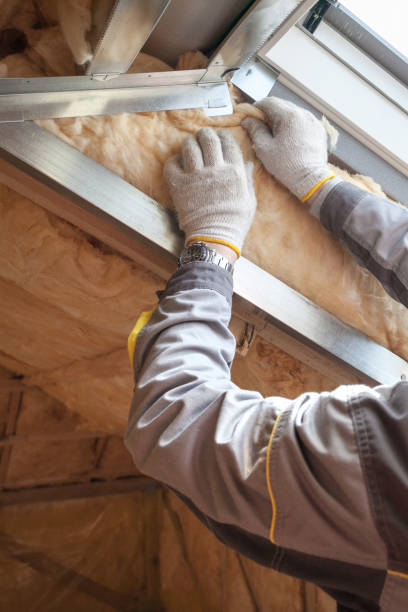 Types of Insulation We Offer in Moapa Valley, NV