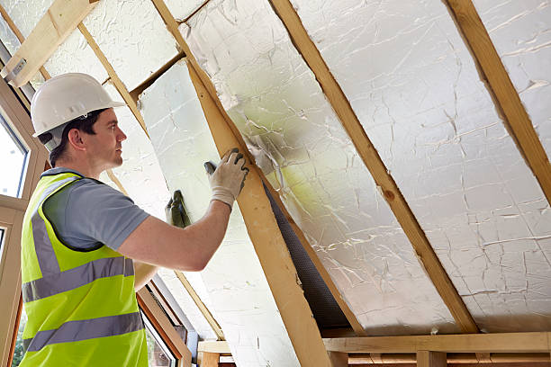 Best Geographic-Specific Insulation Services in Moapa Valley, NV